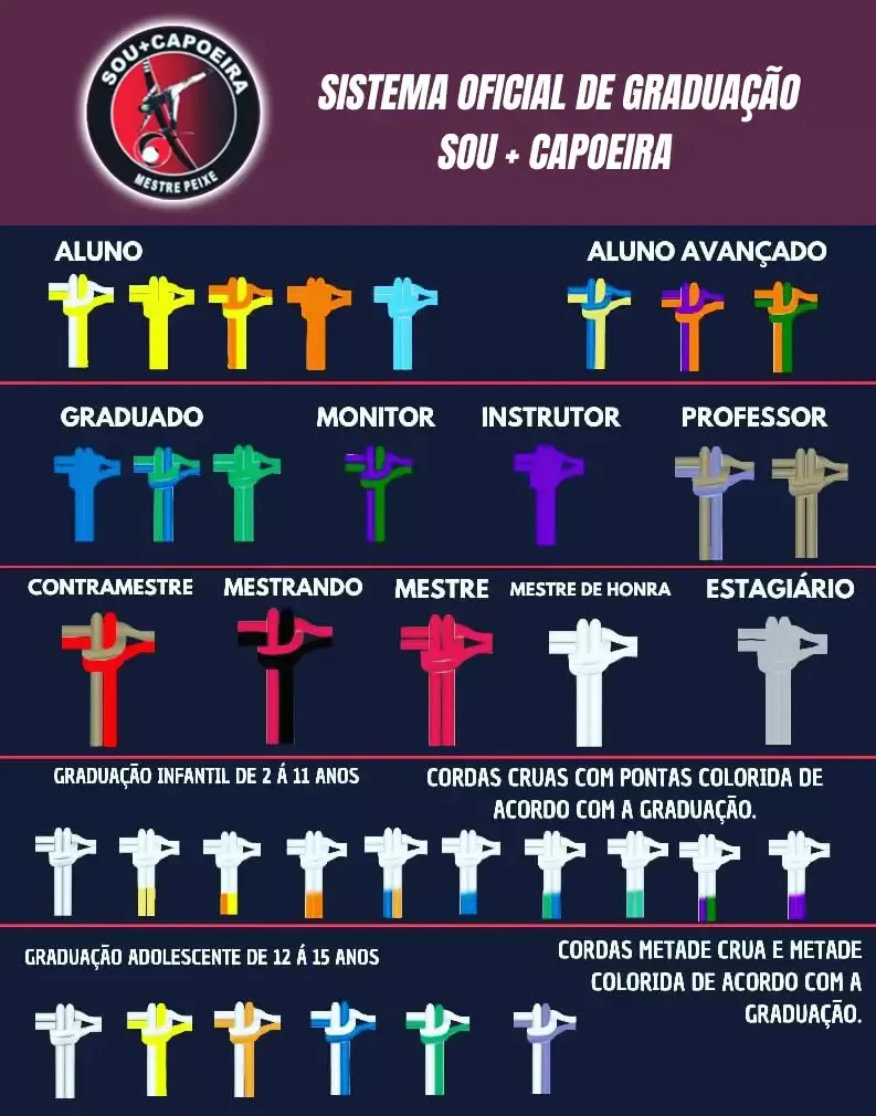 Cartaz Sistema de Graduação