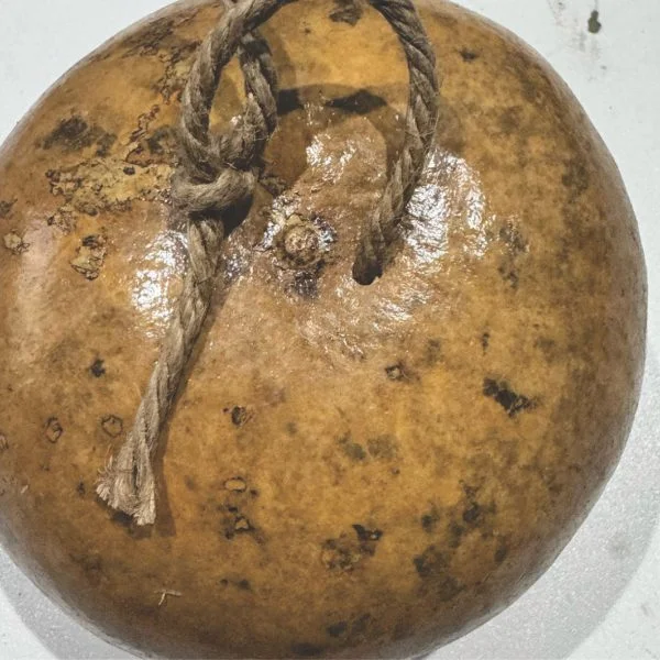 Cabaça de Berimbau Viola