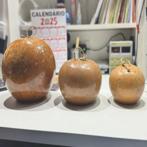 Trio de Cabaças Gunga, Médio E Viola